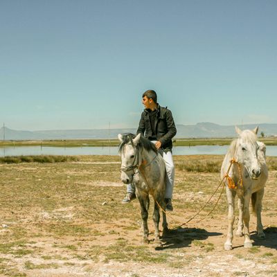A serene natural landscape like a calm lake or forest.